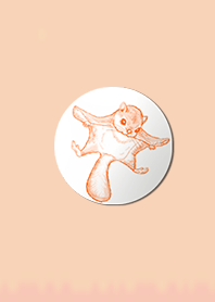 Simple flying squirrel button 1