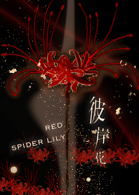 Red spider lily 4