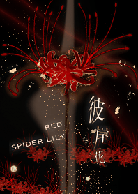 彼岸花～Red spider lily曼珠沙華～