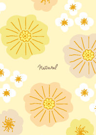 gorgeous flowers17 from Japan