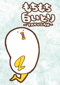 Mochimochi white bird TAKUSAN