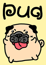 Cute Pug