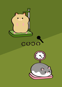 ตรวจสุขภาพหนูแฮมสเตอร์!(เขียวมัทฉะ)