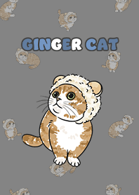 gingercat10 / dark grey .jp