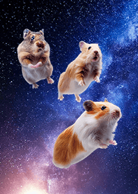 - space hamster -
