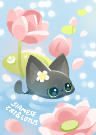 siamese cat & lotus