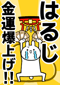 Fortune rise rabbiit[Haruji]