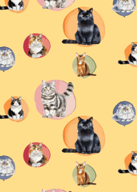 colorful cat on brown & yellow