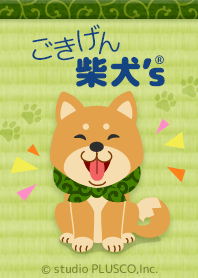ごきげん柴犬's