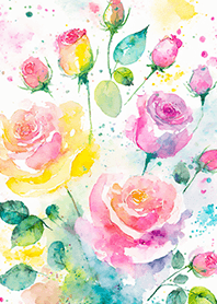 Beautiful rose flower(R4409)