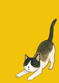 tuxedo cat03 on yellow