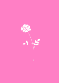 Bluish Rose Pink