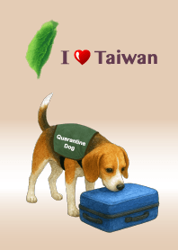 米格魯！我們愛台灣～也愛檢疫犬們。