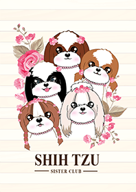 西施犬姐妹團