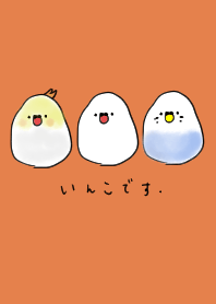 インコです。