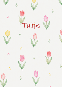 Colorful Tulips01 white