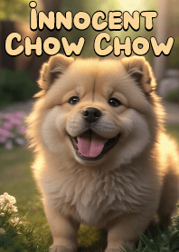 憨厚的鬆獅犬 VOL.2