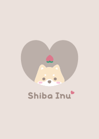 Shiba Inu2 Peach / beige