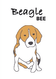 Beagle -BEE-