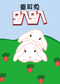 Miniature Lop