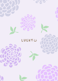 3colored pretty round flowers7