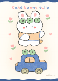 Cute bunny tulip    ^_____^