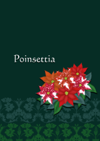 Poinsettia -Christmas-