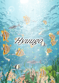 Hyuugo Coral & tropical fish