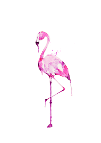 flamingo and flamingo