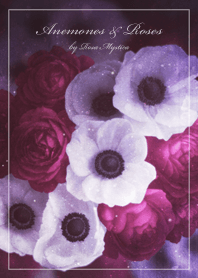 Anemones & Roses / dark purple & white