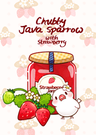 Chubby java sparrow with Strawberry