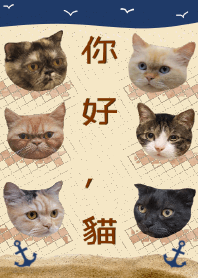 你好，貓2 - 沙灘遊船 _ 淺褐藍