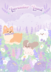 lavender land Moonoiiarch