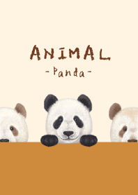 ANIMAL - Panda - AUTUMN COLORS