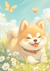 開心超萌柴犬與蝴蝶❤️01-3