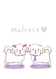 Maltese are good friends