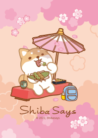 Shibasays Theme 17 Sakura