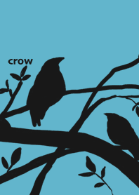 Crow black birds