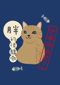 橘貓！好像該減肥了！