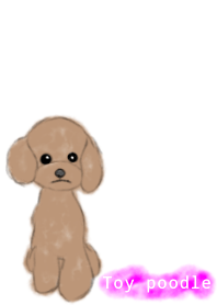 It is theme the toy poodle