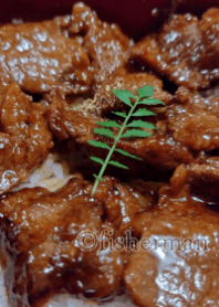 焼肉丼