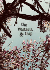 the Wisteria & trap J