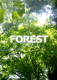 FOREST-森林.ver1.2