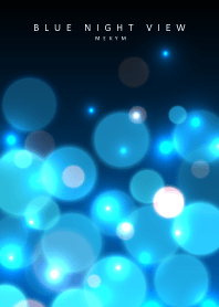 BLUE NIGHT VIEW