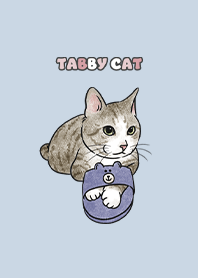 tabbycat6 - baby blue