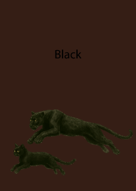 Black Pair02 on brown