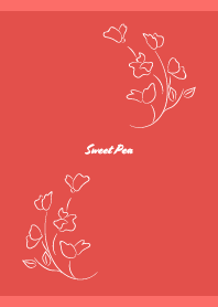 Sweet Pea on red