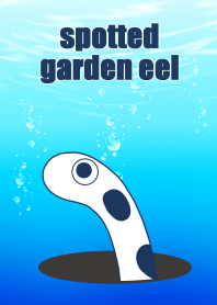 SPOTTED GARDENEEL