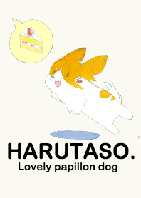 HARUTASO. -Lovely papillon dog-