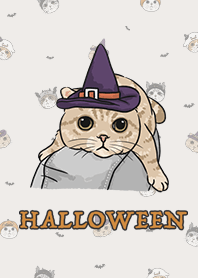 meow's halloween / light beige